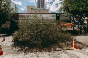 Concurso Prefeitura Cambé PR 2026